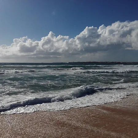 Surf & * Consolação